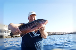 Pesca La Paz Mexico